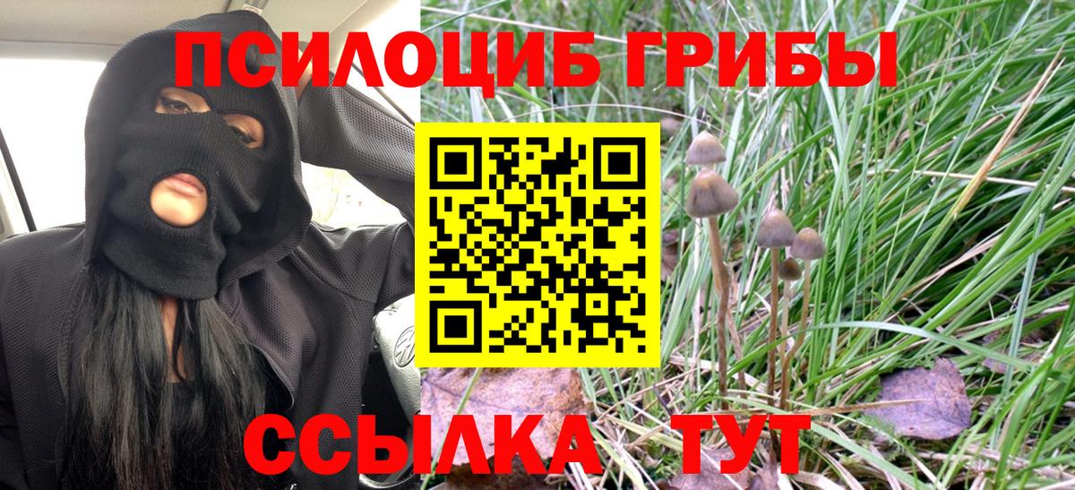 Галлюциногенные грибы ЛСД Хасавюрт