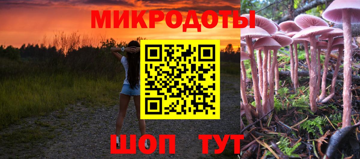 Галлюциногенные грибы Psilocybe  Псилоцибиновые грибы GOLDEN TEACHER  Хасавюрт  Вход с VPN 