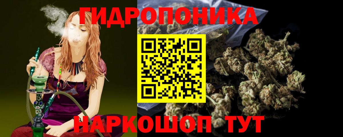 Канабис план  Вход с VPN  Канабис индика  Хасавюрт 
